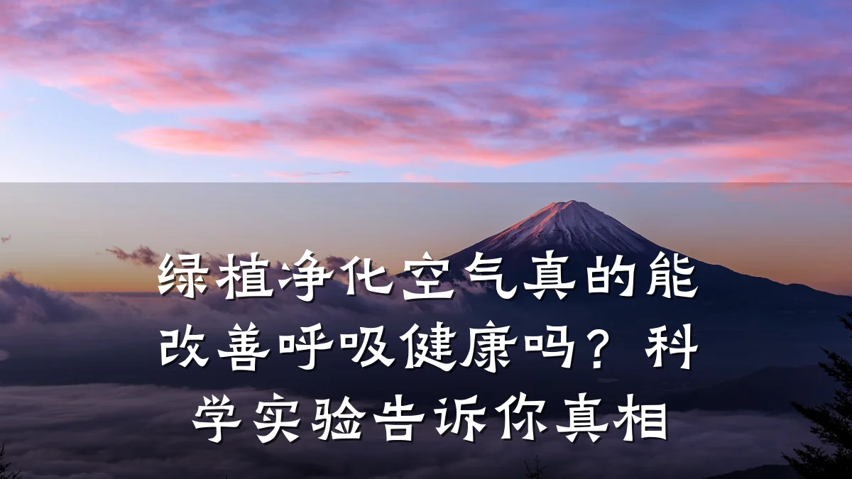 绿植净化空气真的能改善呼吸健康吗?科学实验告诉你真相