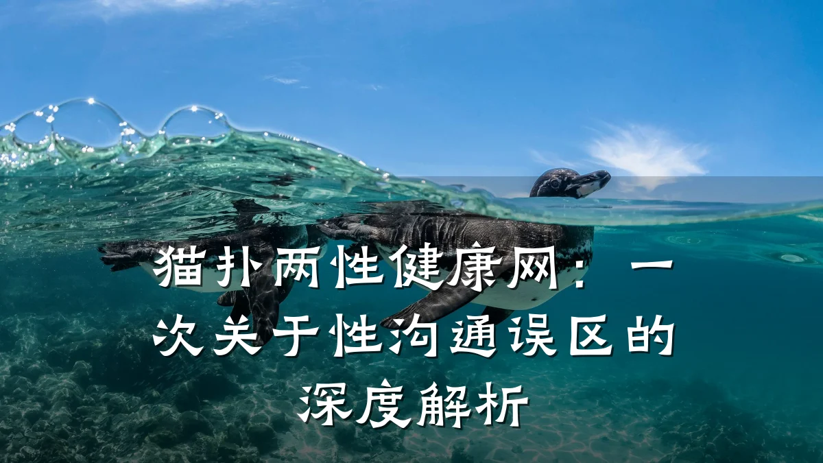 猫扑两性健康网:一次关于性沟通误区的深度解析