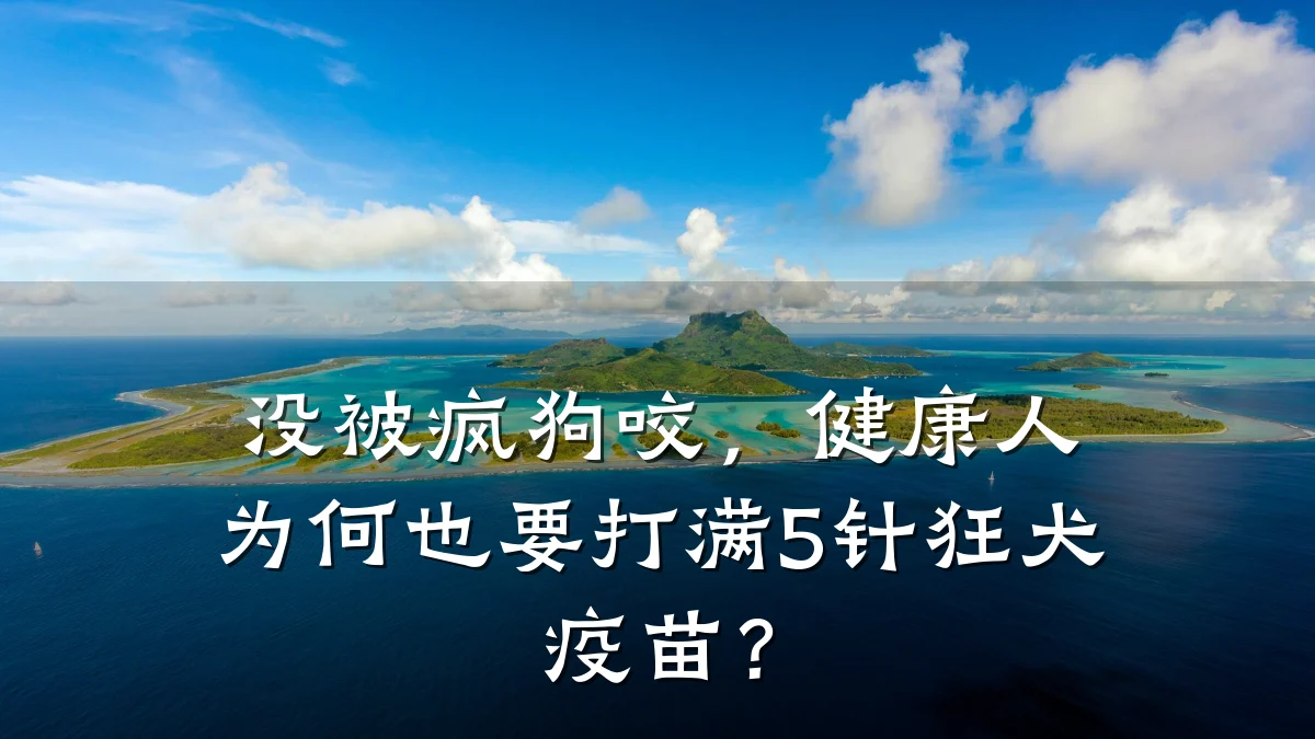 没被疯狗咬,健康人为何也要打满5针狂犬疫苗?
