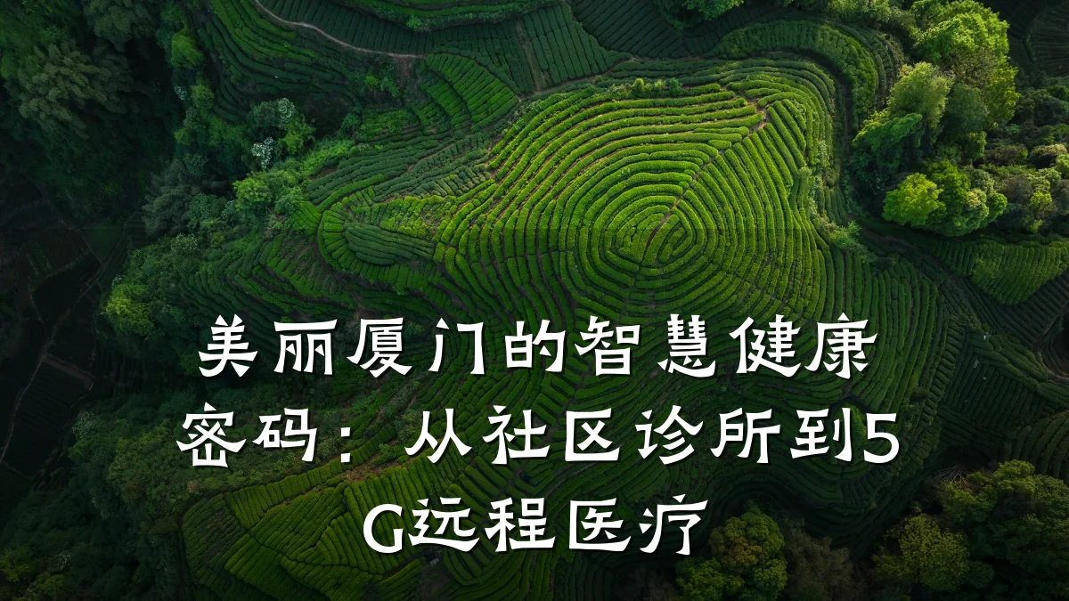 美丽厦门的智慧健康密码:从社区诊所到5G远程医疗