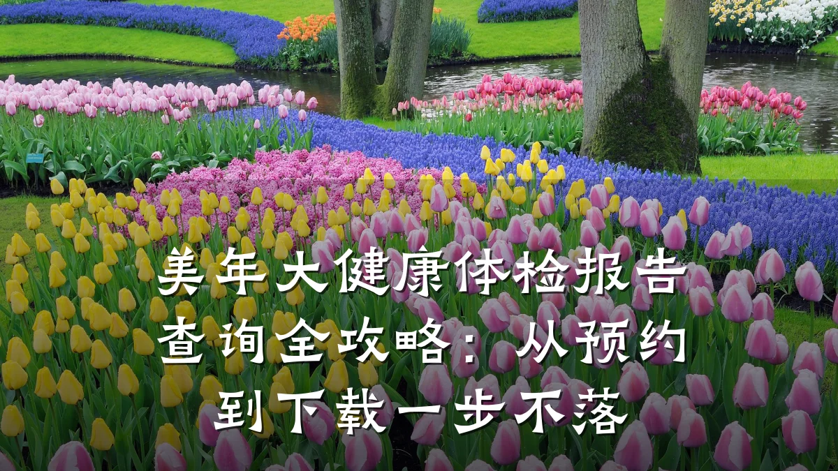 美年大健康体检报告查询全攻略:从预约到下载一步不落