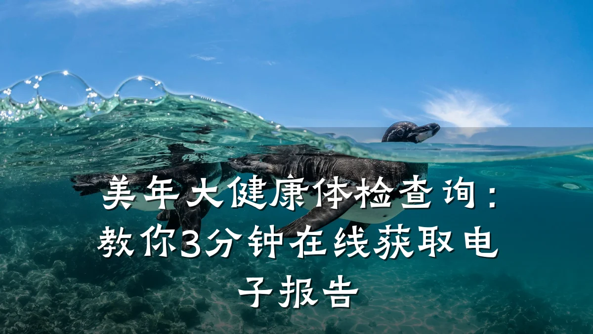美年大健康体检查询：教你3分钟在线获取电子报告
