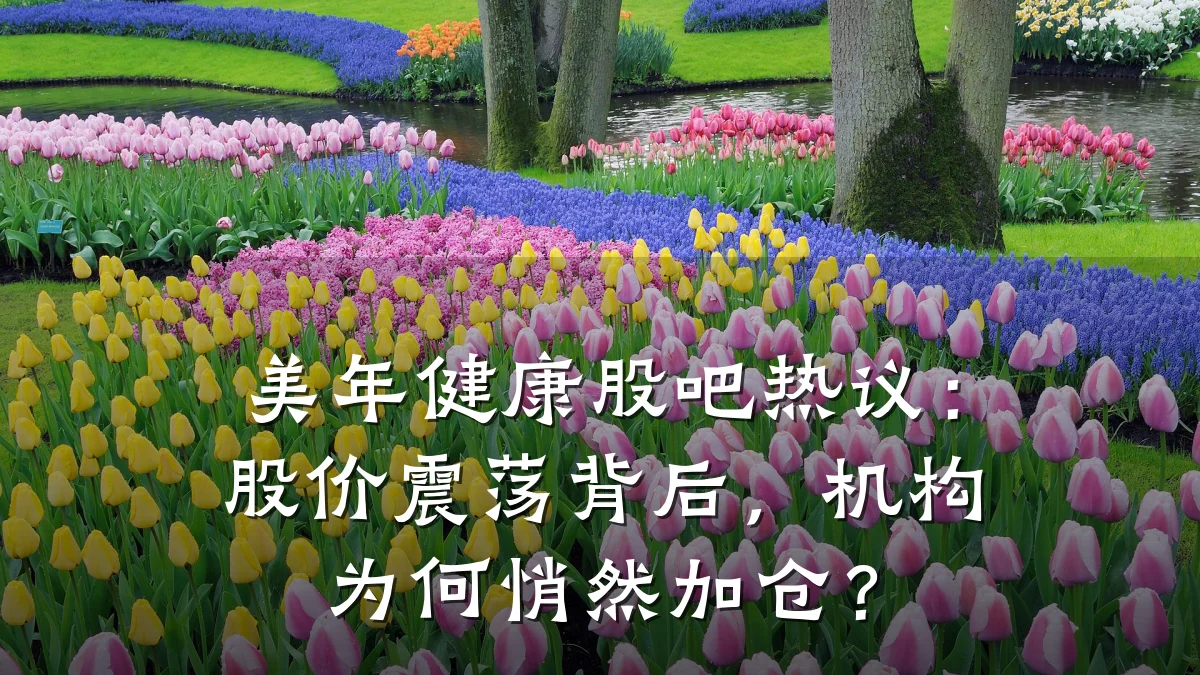 美年健康股吧热议:股价震荡背后,机构为何悄然加仓?