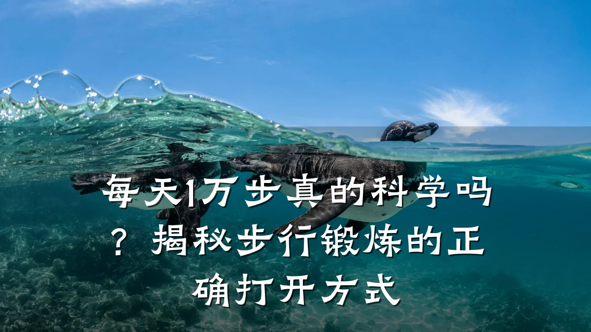 每天1万步真的科学吗?揭秘步行锻炼的正确打开方式