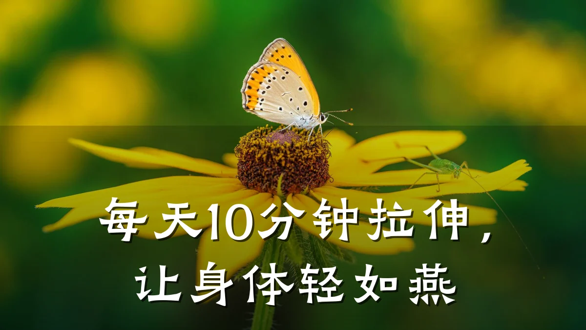 每天10分钟拉伸,让身体轻如燕