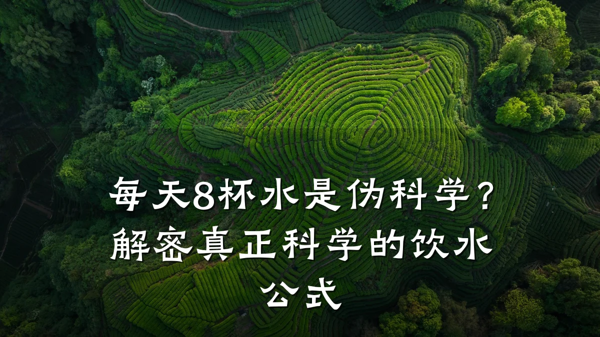 每天8杯水是伪科学?解密真正科学的饮水公式