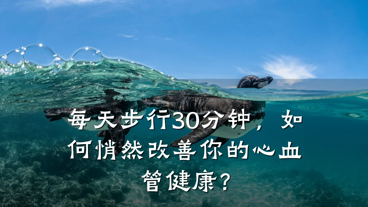 每天步行30分钟,如何悄然改善你的心血管健康?