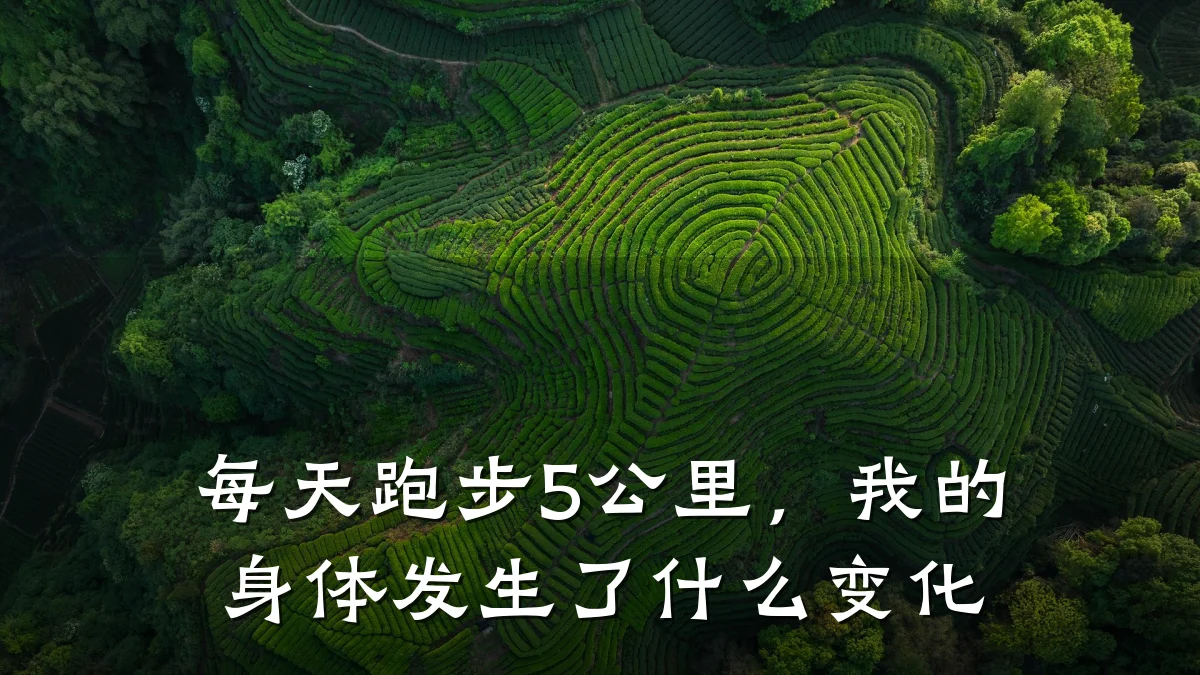 每天跑步5公里,我的身体发生了什么变化