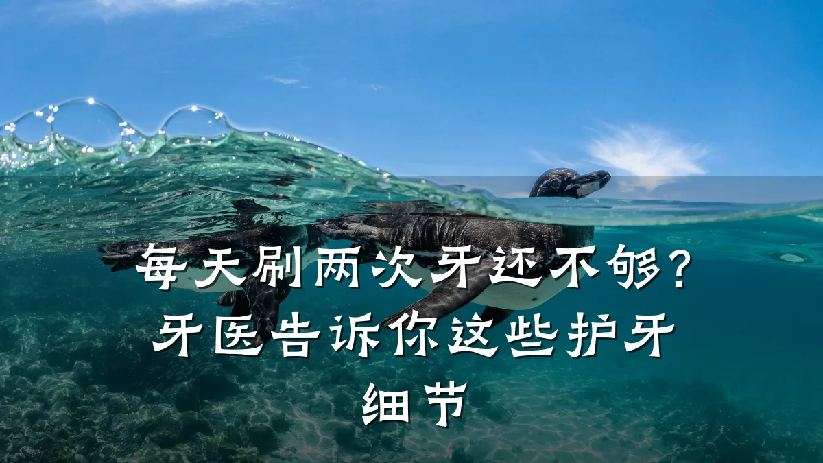 每天刷两次牙还不够?牙医告诉你这些护牙细节