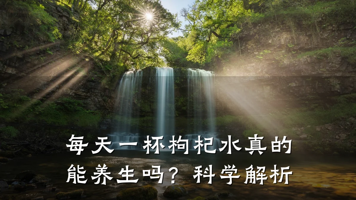 每天一杯枸杞水真的能养生吗?科学解析