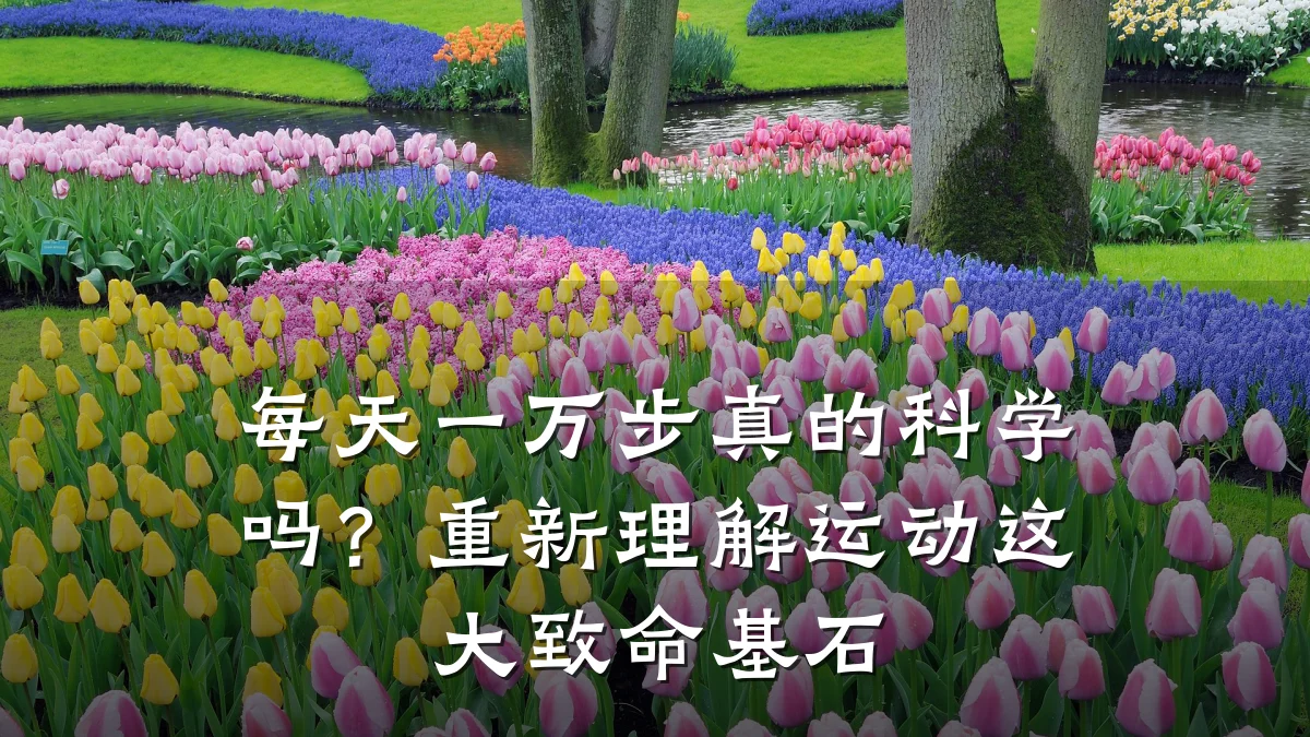 每天一万步真的科学吗?重新理解运动这大致命基石