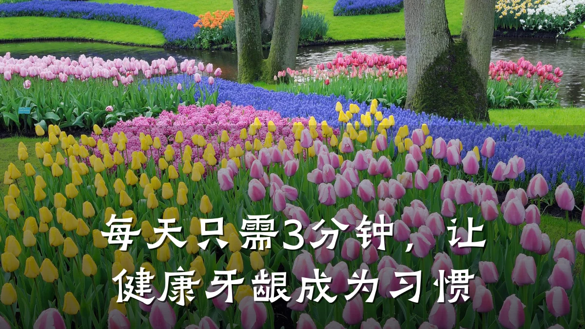每天只需3分钟,让健康牙龈成为习惯