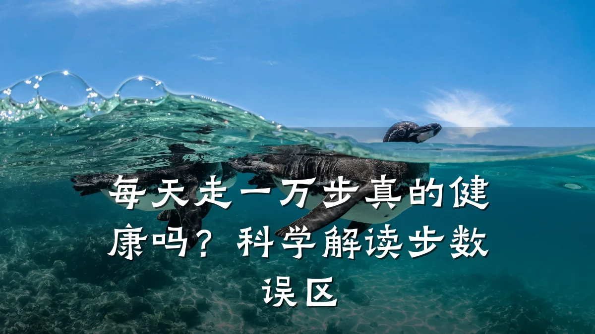 每天走一万步真的健康吗?科学解读步数误区