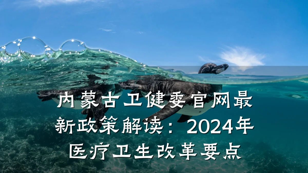 内蒙古卫健委官网最新政策解读:2024年医疗卫生改革要点