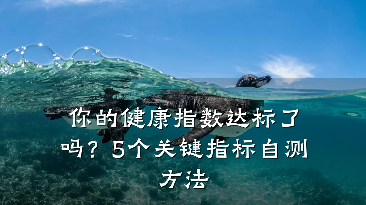 你的健康指数达标了吗?5个关键指标自测方法