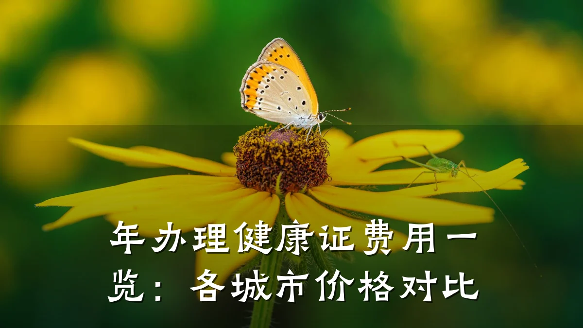 年办理健康证费用一览:各城市价格对比