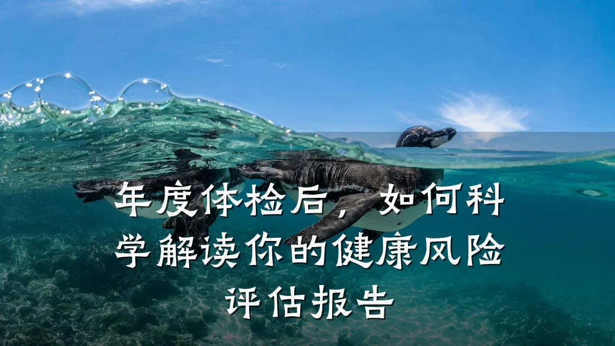 年度体检后,如何科学解读你的健康风险评估报告