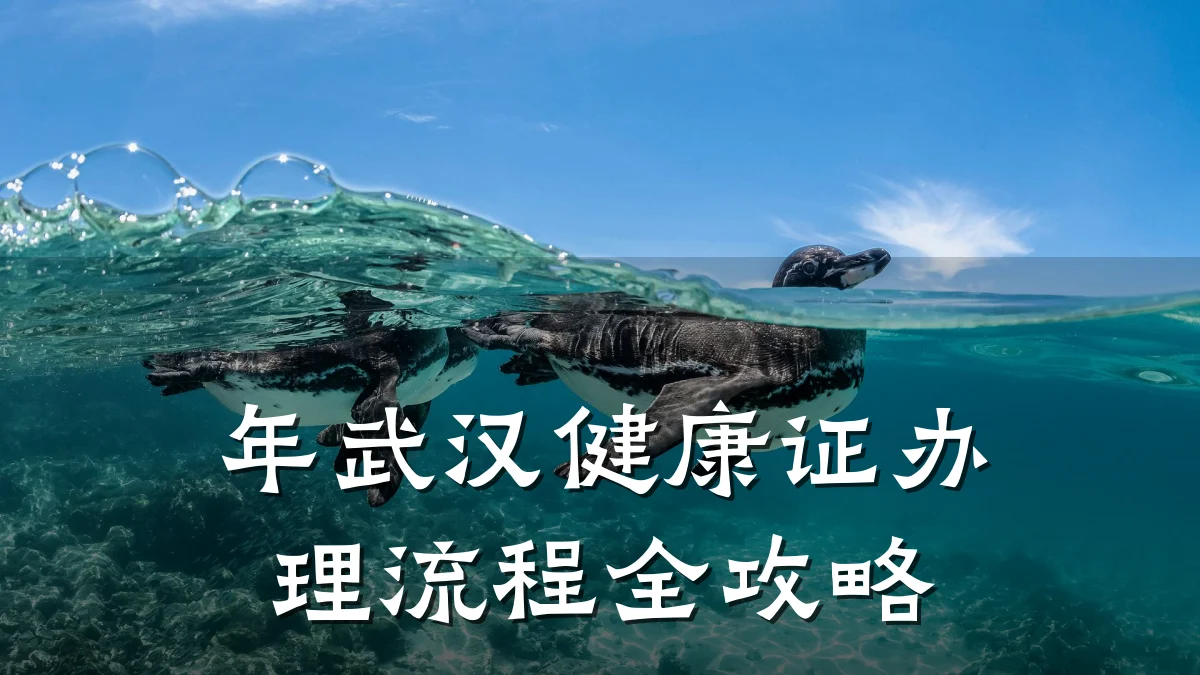 年武汉健康证办理流程全攻略