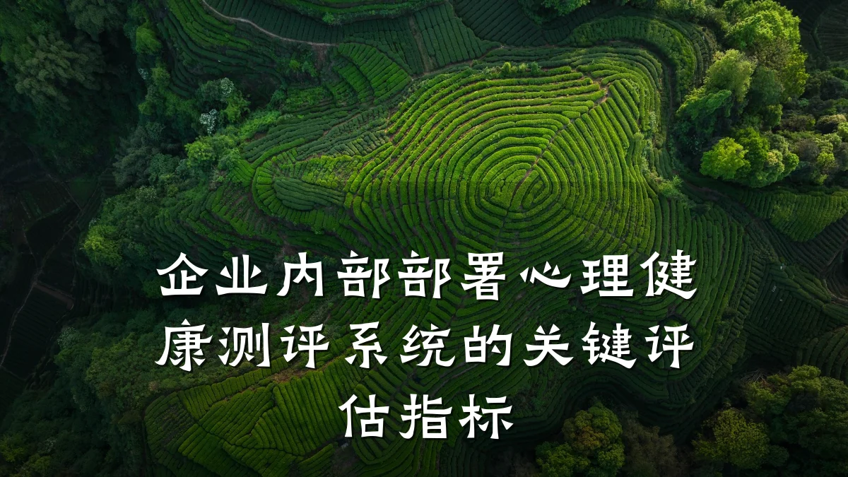 企业内部部署心理健康测评系统的关键评估指标