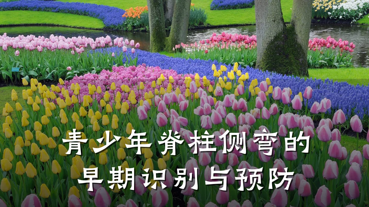 青少年脊柱侧弯的早期识别与预防
