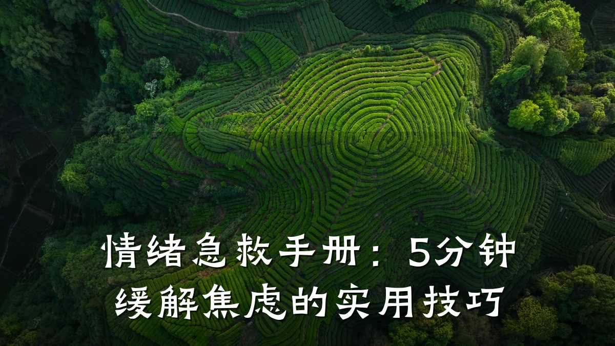 情绪急救手册:5分钟缓解焦虑的实用技巧