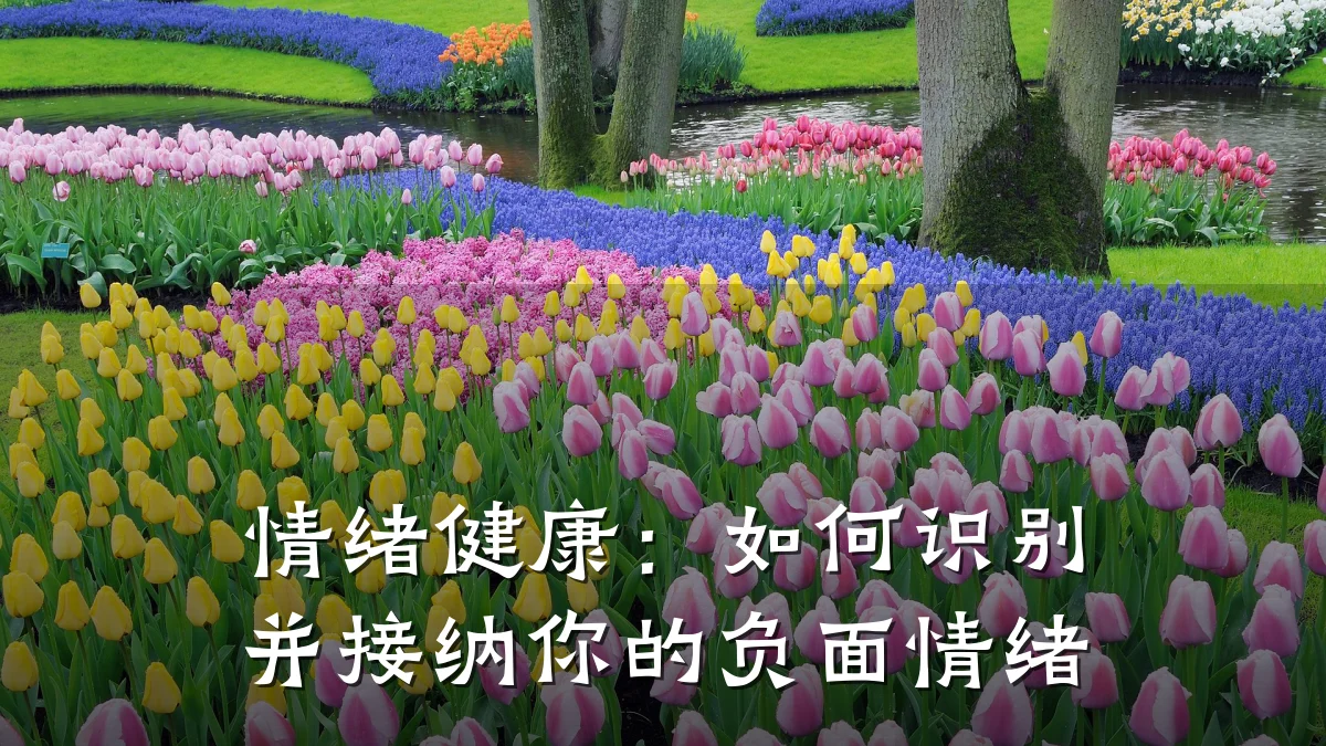 情绪健康:如何识别并接纳你的负面情绪