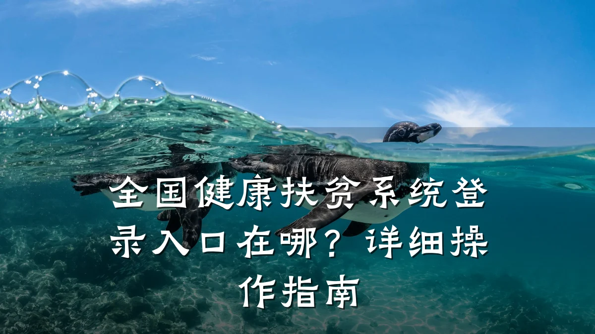 全国健康扶贫系统登录入口在哪?详细操作指南