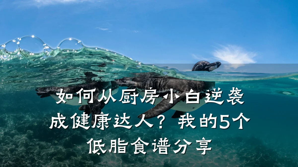 如何从厨房小白逆袭成健康达人?我的5个低脂食谱分享
