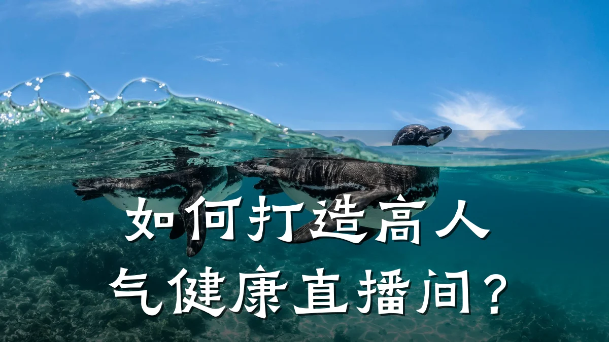 如何打造高人气健康直播间?