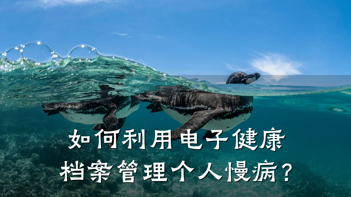 如何利用电子健康档案管理个人慢病?