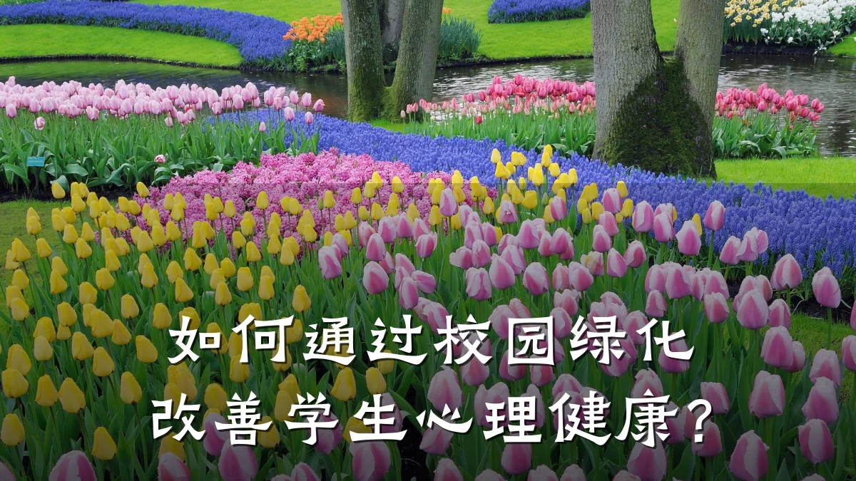 如何通过校园绿化改善学生心理健康?