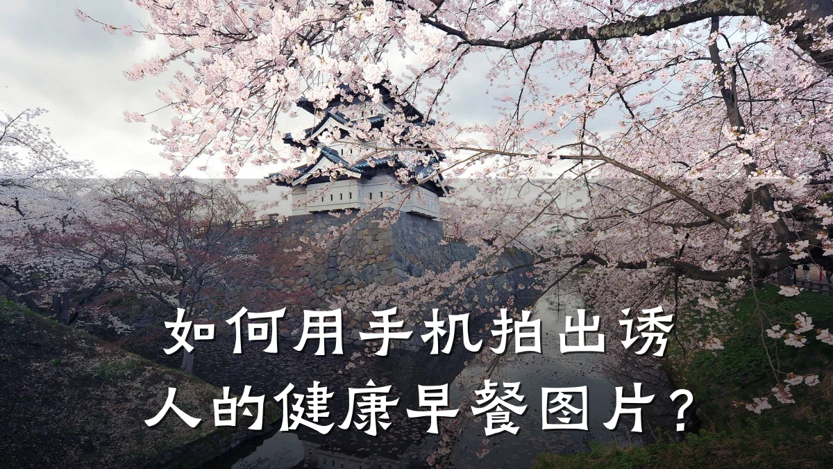 如何用手机拍出诱人的健康早餐图片?
