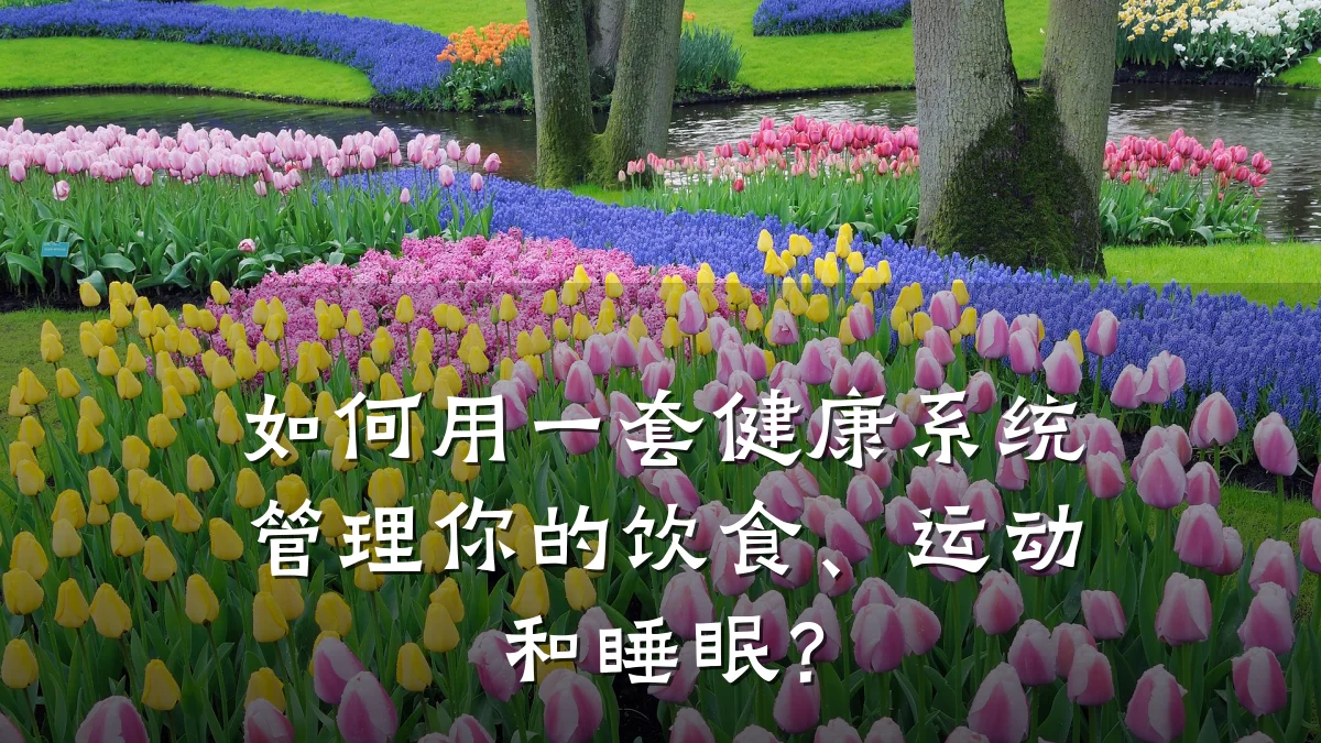 如何用一套健康系统管理你的饮食、运动和睡眠?