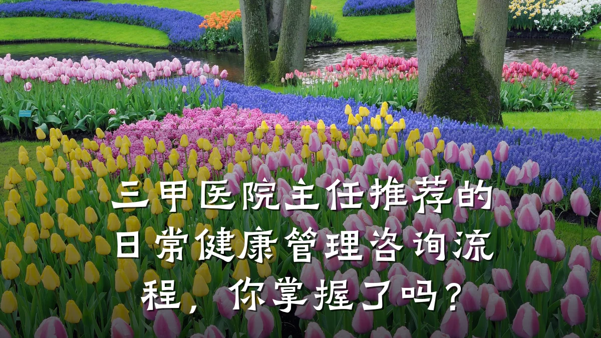 三甲医院主任推荐的日常健康管理咨询流程,你掌握了吗?