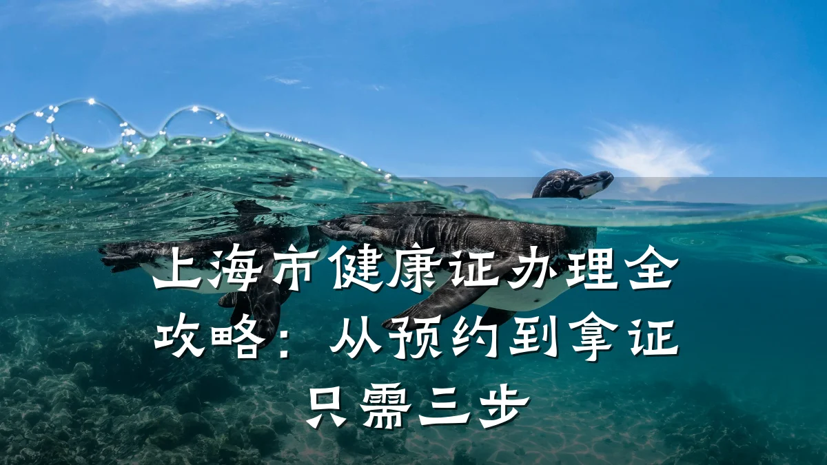 上海市健康证办理全攻略:从预约到拿证只需三步