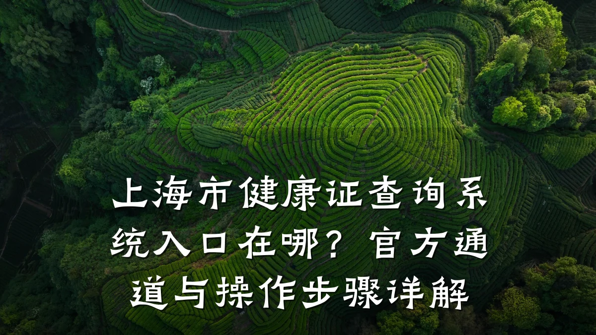 上海市健康证查询系统入口在哪？官方通道与操作步骤详解