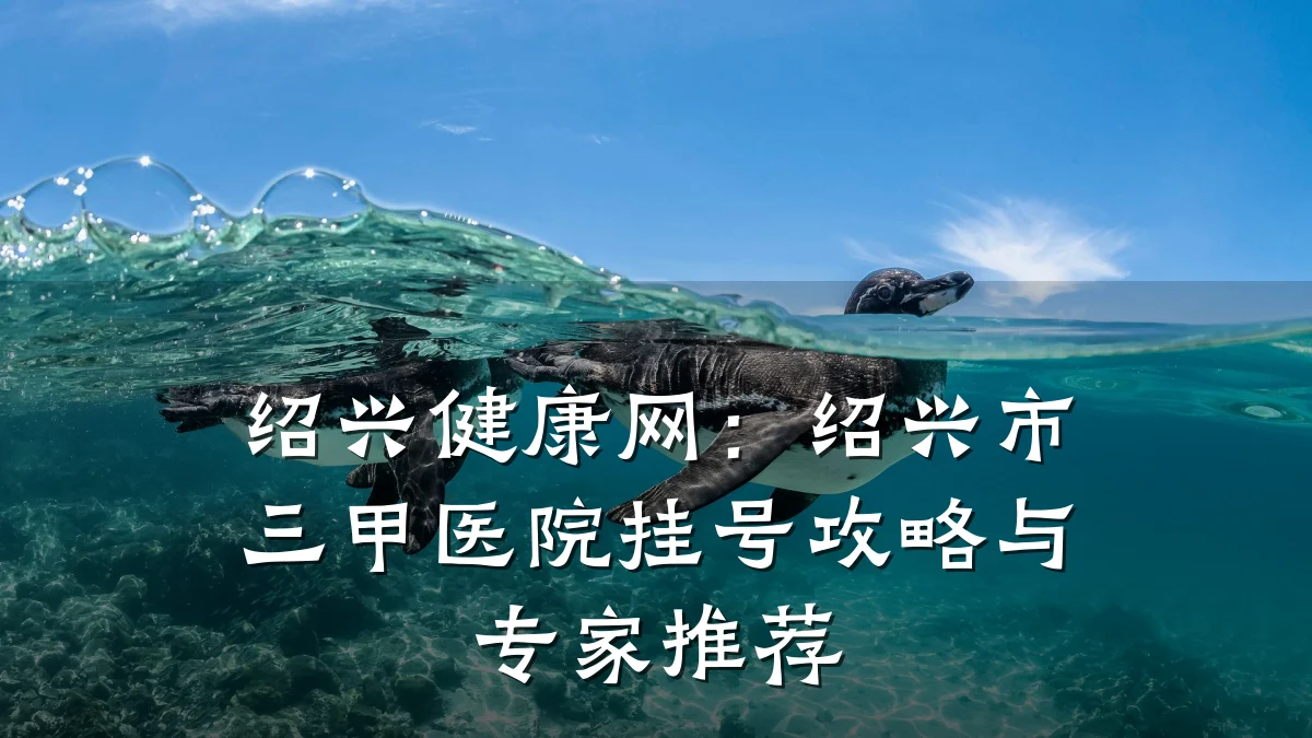 绍兴健康网:绍兴市三甲医院挂号攻略与专家推荐