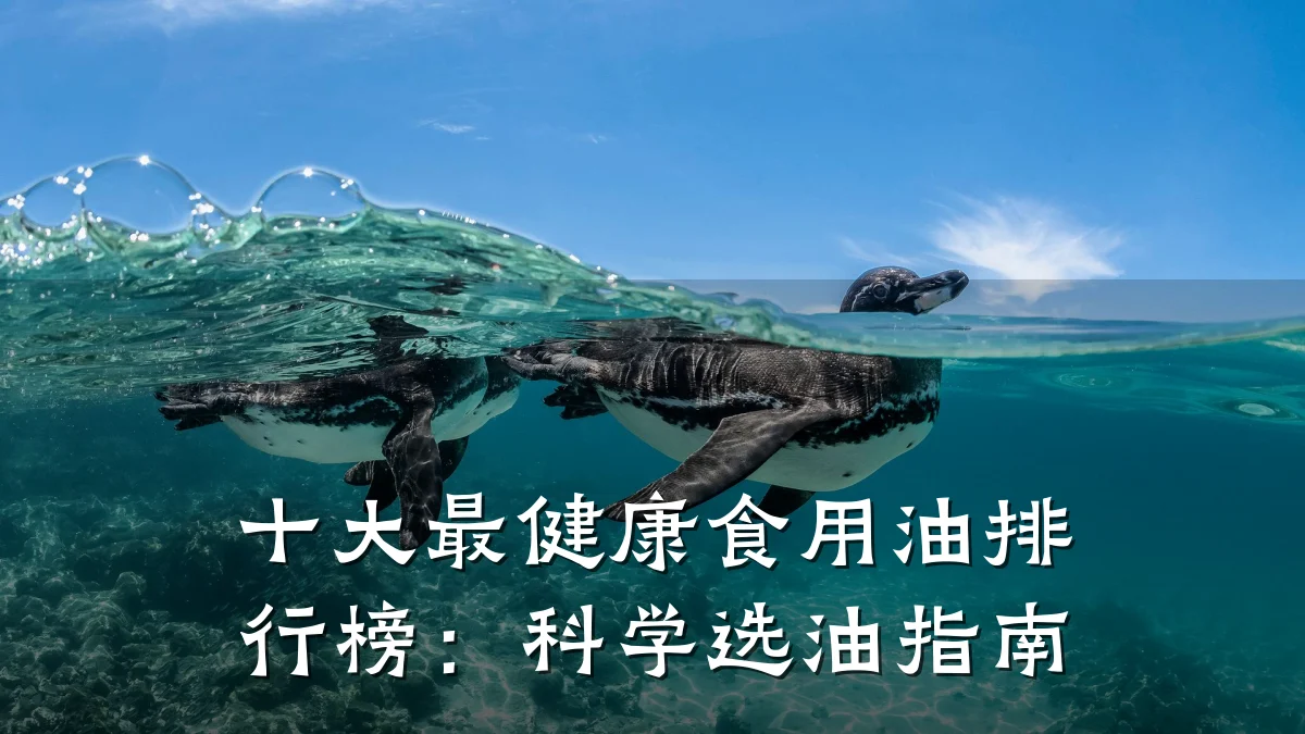 十大最健康食用油排行榜:科学选油指南