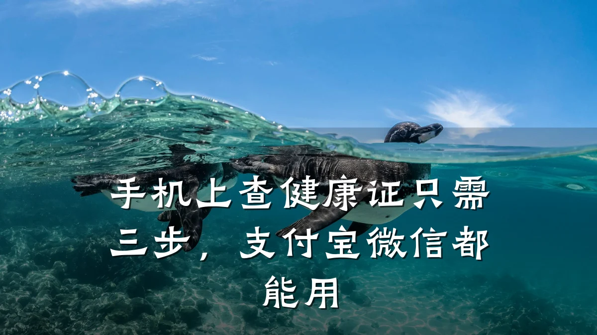 手机上查健康证只需三步,支付宝微信都能用