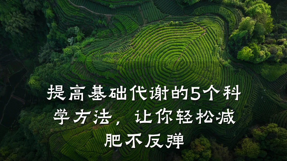提高基础代谢的5个科学方法,让你轻松减肥不反弹