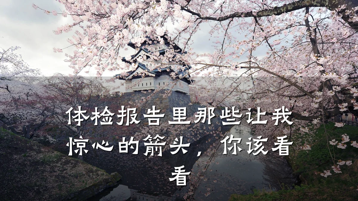体检报告里那些让我惊心的箭头,你该看看