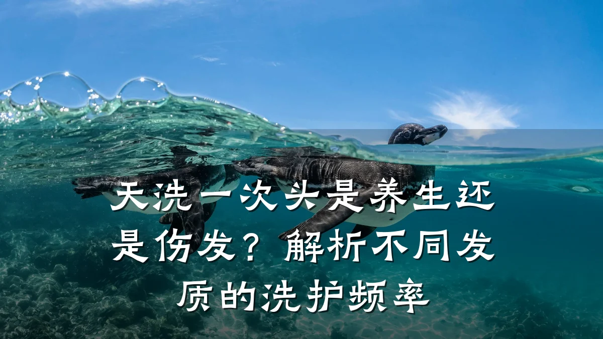 天洗一次头是养生还是伤发?解析不同发质的洗护频率