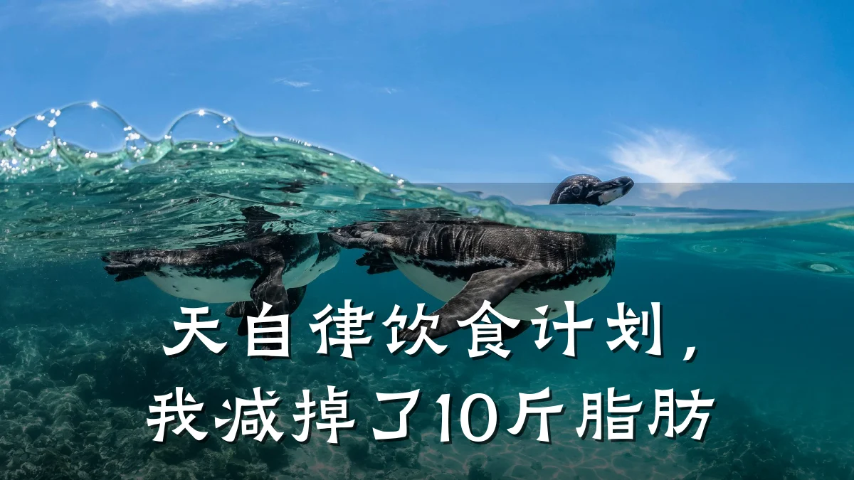 天自律饮食计划,我减掉了10斤脂肪
