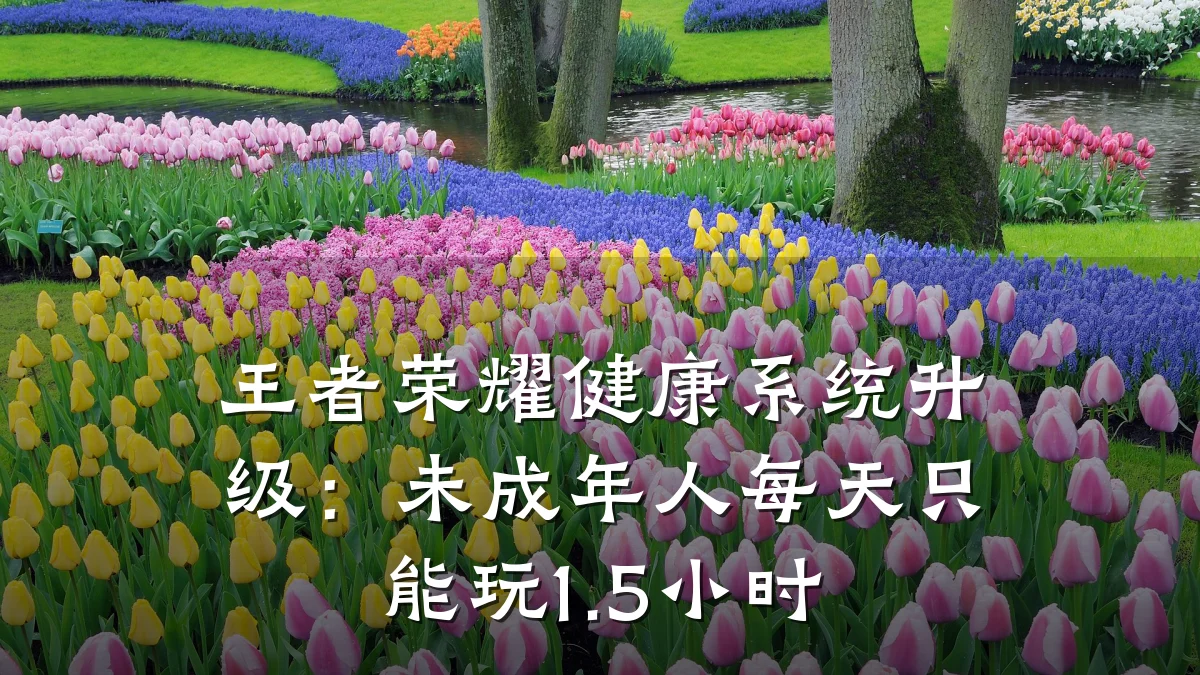 王者荣耀健康系统升级:未成年人每天只能玩1.5小时
