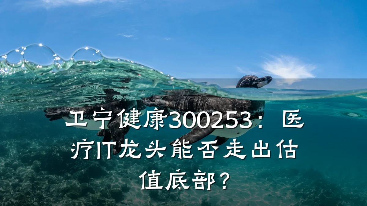 卫宁健康300253:医疗IT龙头能否走出估值底部?