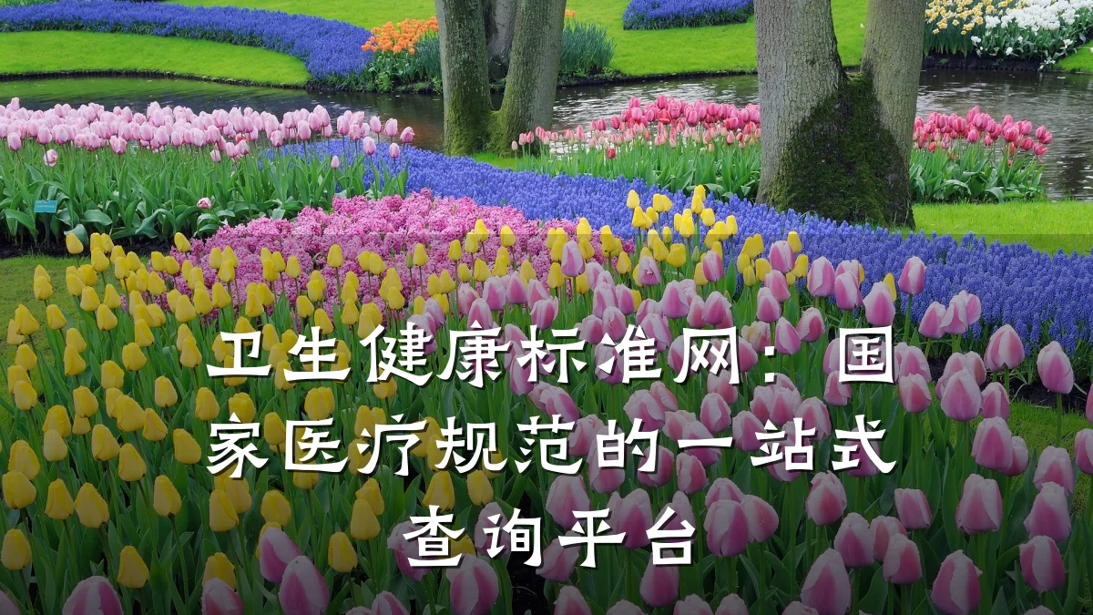 卫生健康标准网:国家医疗规范的一站式查询平台