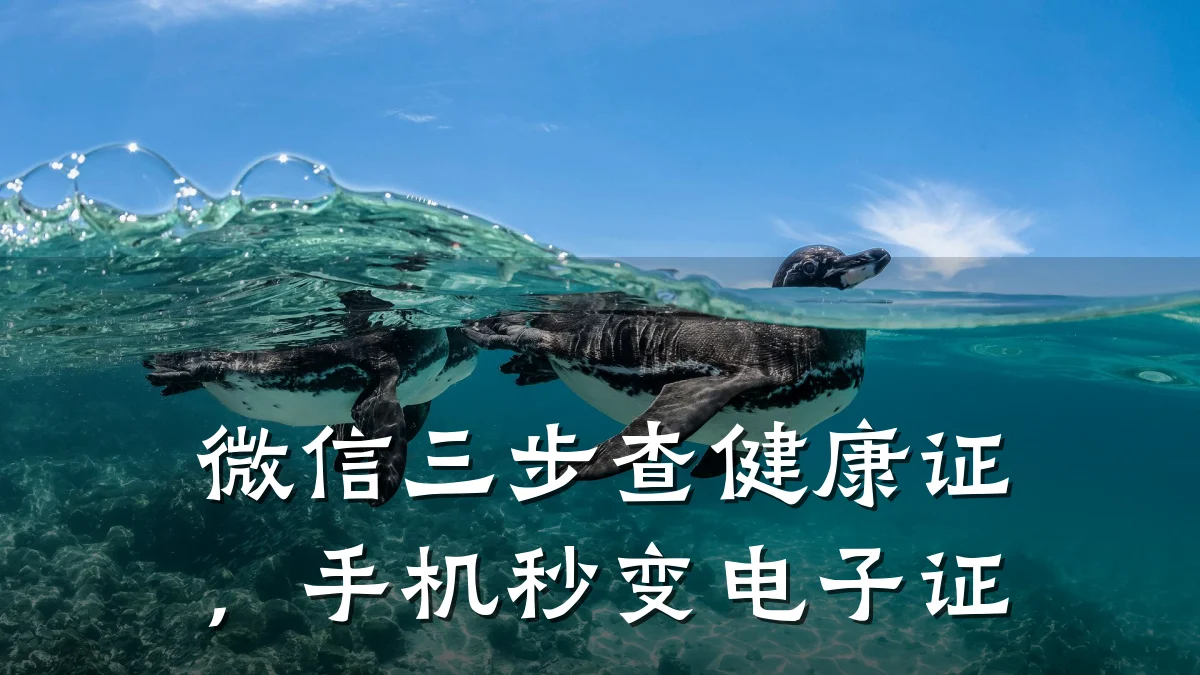 微信三步查健康证,手机秒变电子证