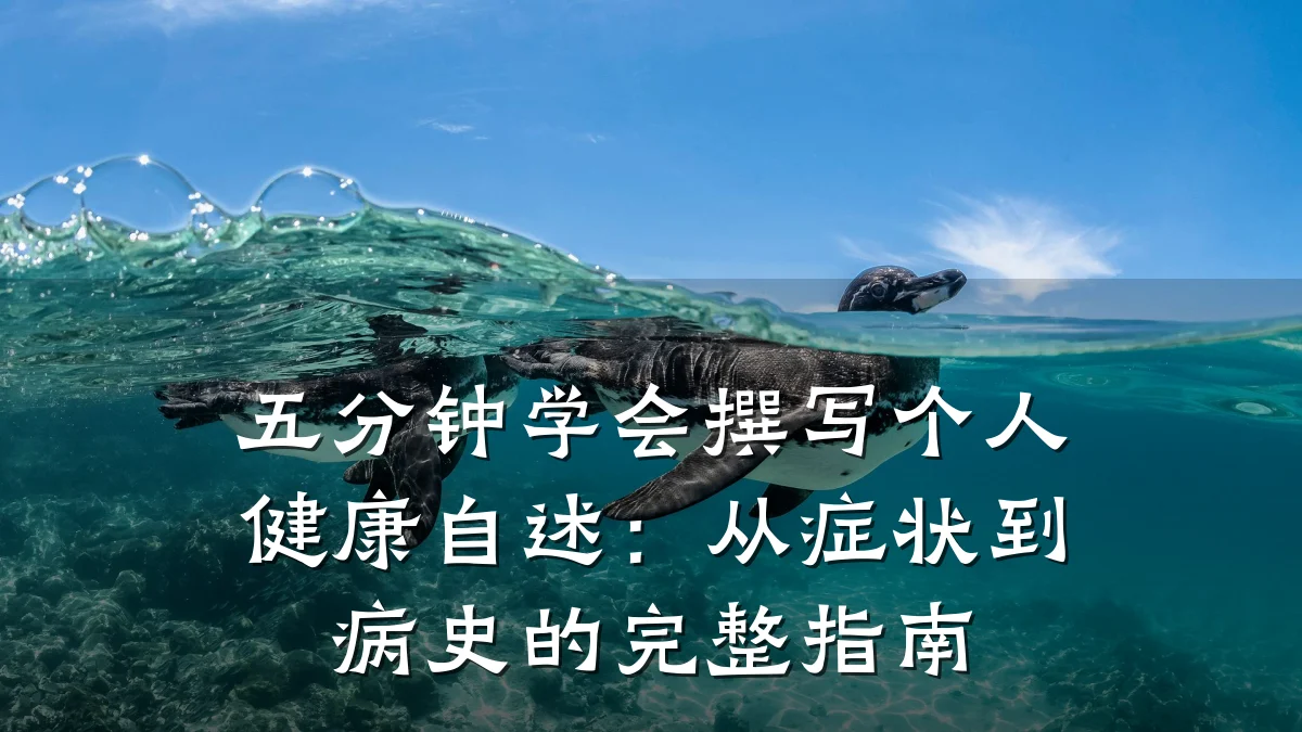 五分钟学会撰写个人健康自述:从症状到病史的完整指南