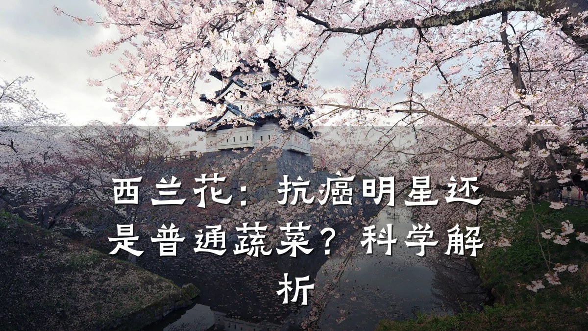 西兰花:抗癌明星还是普通蔬菜?科学解析