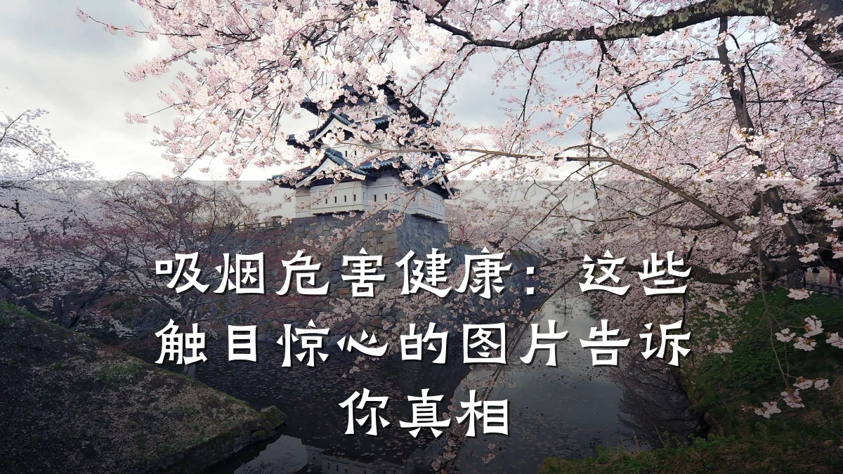 吸烟危害健康:这些触目惊心的图片告诉你真相
